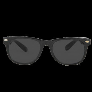 Sunglasses Png Transparent Glasses blues brothers