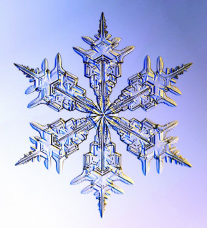 How many different types of snowflakes are there? See the Guide to ...