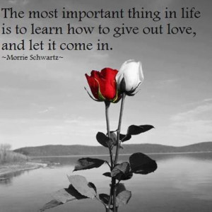 The most important thing in life is to learn how to give out love, and ...