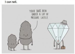 Funny and Clever Science Jokes (20 pics)
