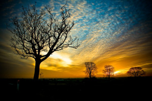 free-wallpaper-desktop-wallpaper-nature-sunset-Voetmann.jpg