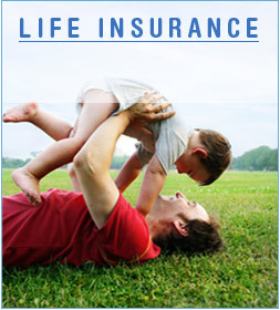 In choosing us to be observant and insurance tailored to our needs ...