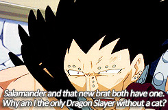 mine anime Fairy Tail Gajeel Redfox Panther Lily