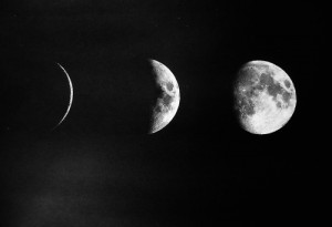 luna #une #black and white photography #black and white #photography ...