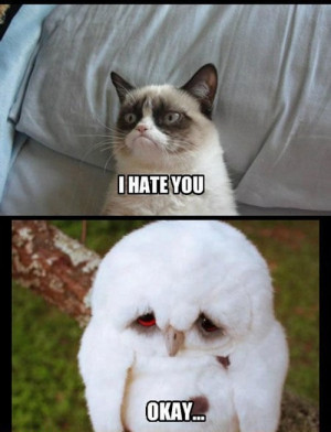 Funny Cats | Top 49 Most Funniest Grumpy Cat Quotes
