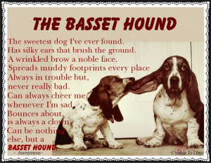 Norman ️ Basset Hound Poem.