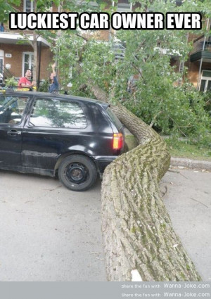 lucky guy car tree fall wanna joke.com