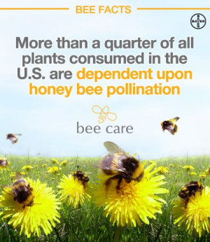 ... education and awareness about the importance of honey bees and