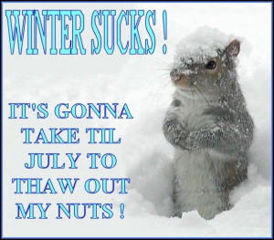 Winter Sucks! It’s Gonna Take Til July To Thaw Out My Nuts!