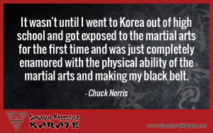 Chuck Norris Martial Arts Quote