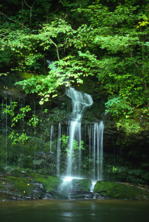 Seasonal Fall, Great Smoky Mountain National Park, Tennessee, Olympus ...