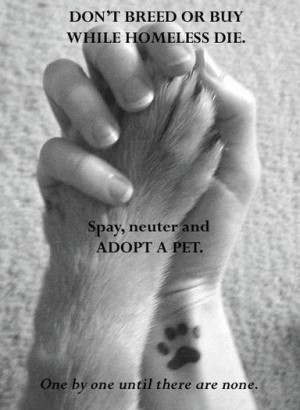Go Back > Gallery For > Animal Adoption Quotes