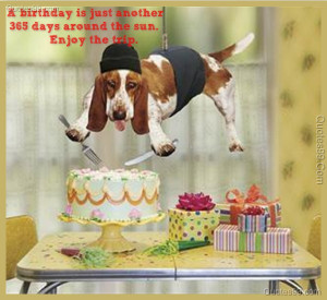 ... of birthdays, funny birthday quotes, birthday quotes fun pictures