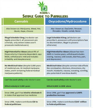 Pinned by Lisa Weberg