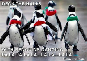 Funny penguin, funny club penguin, funny penguin facts