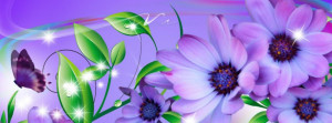 lavender-flower-rainbow-fb-cover