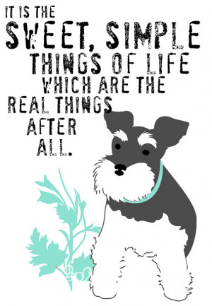 Miniature Schnauzer Quotes