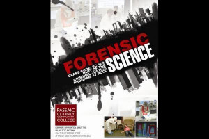 Forensic Forensic Science International 75 (1995) 101-120 Science ...