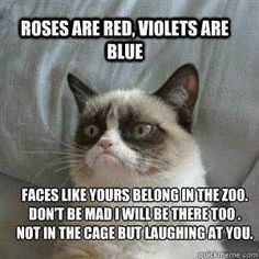... at rhyming | 14 Hilarious Grumpy Cat Memes That Will Make You Smile