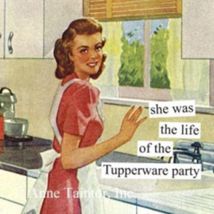 Of course, the retro housewife enjoys cooking and might want a more ...