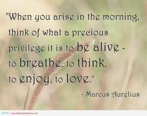 Marcus aurelius, quotes, witty, sayings, brainy, love