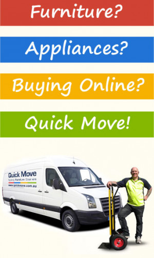 Details about eBay Furniture Delivery Service courier Removalists ...
