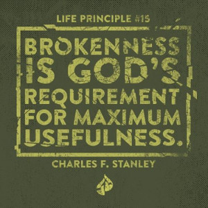 ... 17 Charles F. Stanley, Inspirational Quotes, 30 Life Principles, Bible