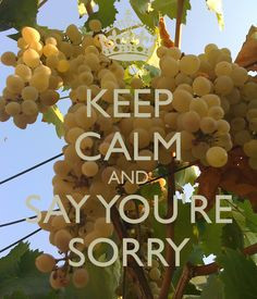 KEEP CALM AND SAY YOU'RE SORRY