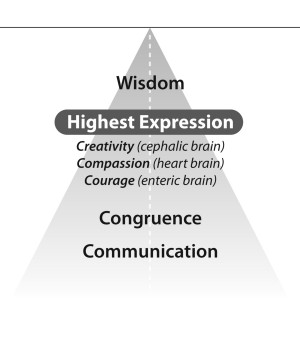 Wisdom, compassion, and courage are the three universally recognized ...