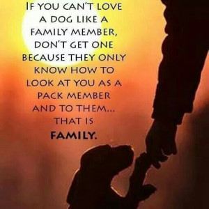 If you can't love a dog like a family member..