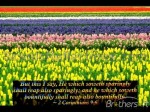 Spring (with Bible Verses) Screensaver 4.0 Download