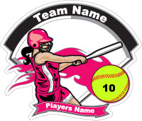 Quotes For Softball Usa Logos