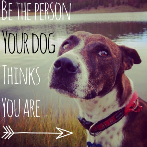 your dog thinks you are. Dog quote. This is a photo of my sweet dog ...