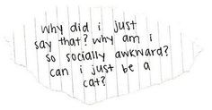 this is so me... socially awkward... cat