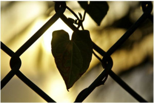 Superar una ruptura sentimental: 5 pasos