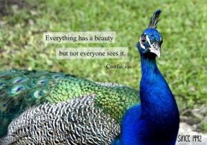 Everything has beauty. But not everyone can see.