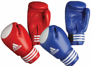 74814d1315297032-boxing-gloves-boxing-gloves-pic-gallery.jpg