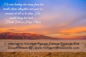 Journey To The High Places: Detour Through The Desert (Week 6)