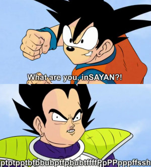Vegeta versus Goku, Dragonzball P