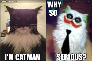 ... Batman, Nananananana Catman, I M Catman, Animal Funny, Funny Batman