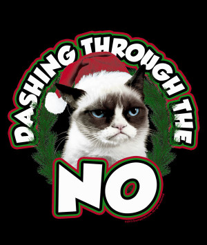 grumpy cat on christmas grumpy cat is ready for