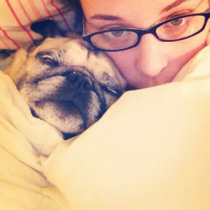 Cuddle Pug