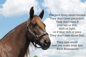 Buck Brannaman the horse whisperer