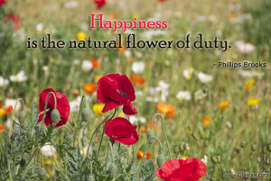 Happiness Thoughts-Quotes-Phillips Brooks-Natural Flower-Best Quotes