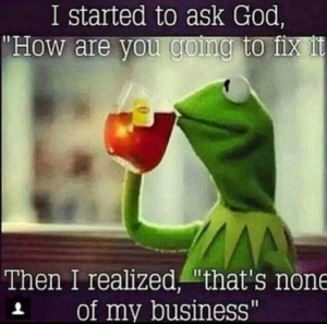 Fwd: Kermit is wise beyond his years ( i.imgur.com )