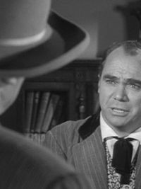 Does a trotter lift all four feet off the ground at the same time?