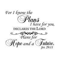 For I Know the Plans Scripture Wall Vinyl