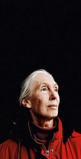 Jane Goodall: 'My greatest fear? Losing my mind.' Photograph: Camera ...