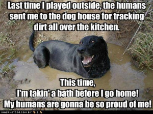 funny+Dog+pictures+with+quotes+(86).jpg