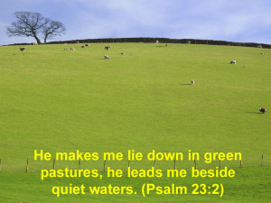 ... Lie Down In Green Pastures, He Leads Me Beside Quiet Waters. ~ Bible